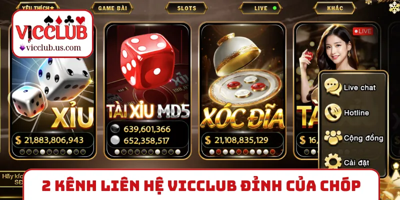 2 kênh liên hệ VICCLUB đỉnh của chóp