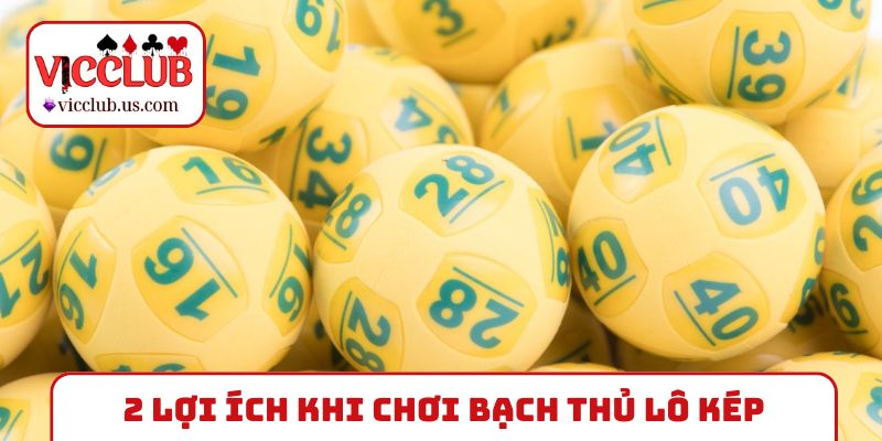 2 lợi ích khi chơi bạch thủ lô kép khung 2 ngày