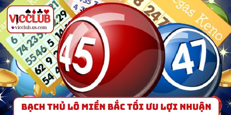 Bạch thủ lô miền Bắc giúp tối ưu lợi nhuận