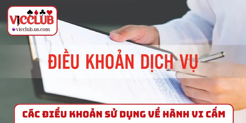 Các điều khoản sử dụng cần nhớ về hành vi cấm