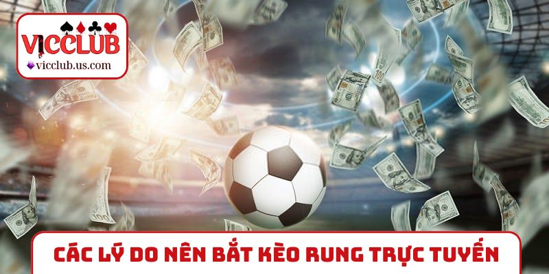 Các lý do nên bắt kèo rung trực tuyến