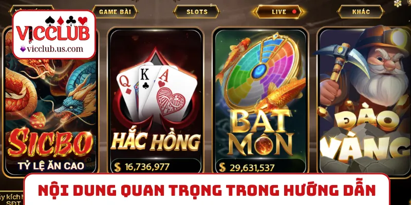 Các nội dung quan trọng trong hướng dẫn VICCLUB