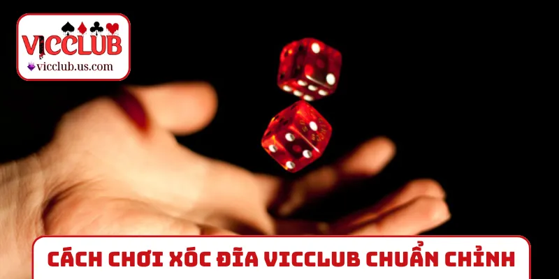 Cách chơi xóc đĩa VICCLUB chuẩn chỉnh nhất