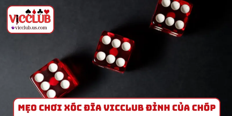 Mẹo chơi xóc đĩa VICCLUB đỉnh của chóp