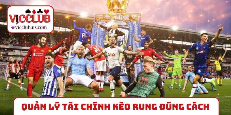 Cẩm nang soi kèo rung cho người mới