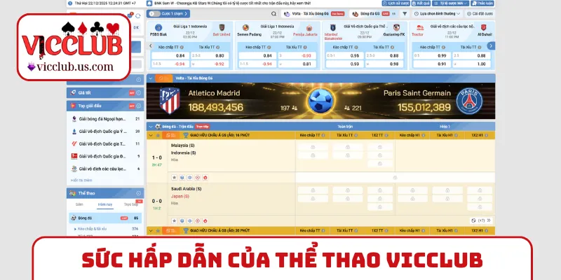 Sức hấp dẫn đỉnh chóp của thể thao VICCLUB