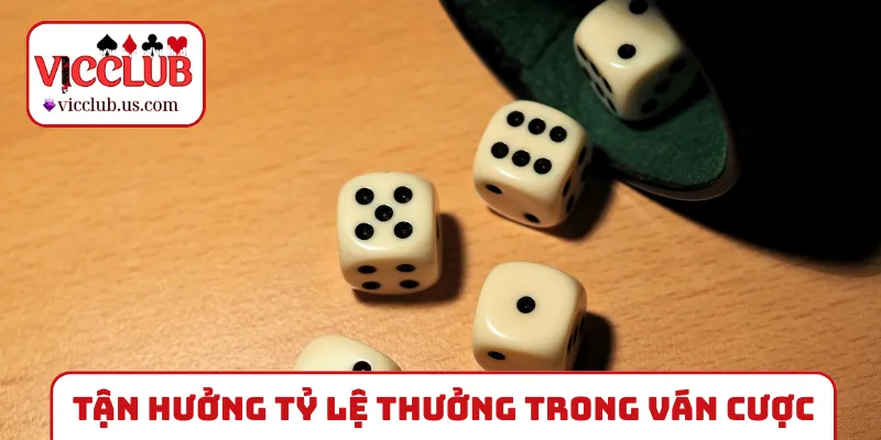 Tận hưởng tỷ lệ xanh chín trong ván cược